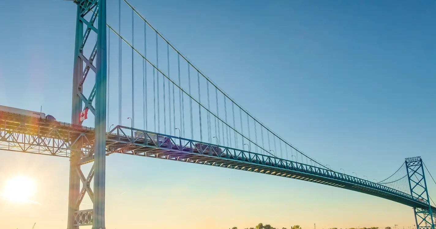 Custom Brokerage and Consulting