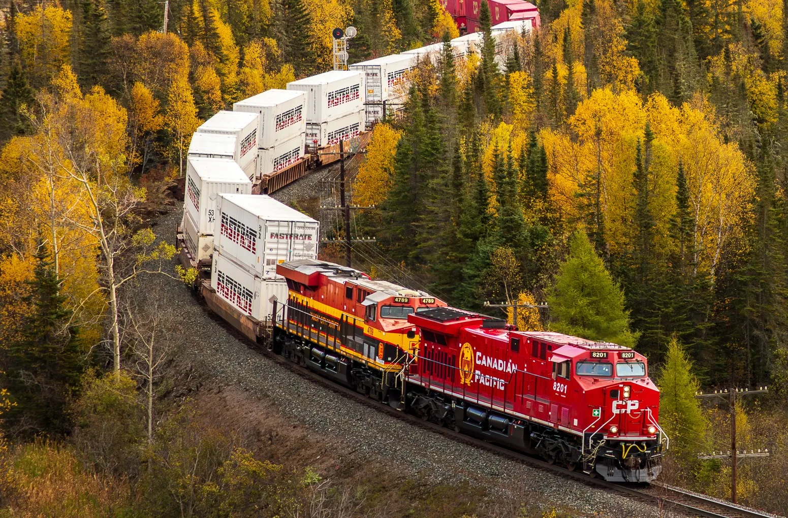 Red and yellow freight train curving through autumn forest landscape