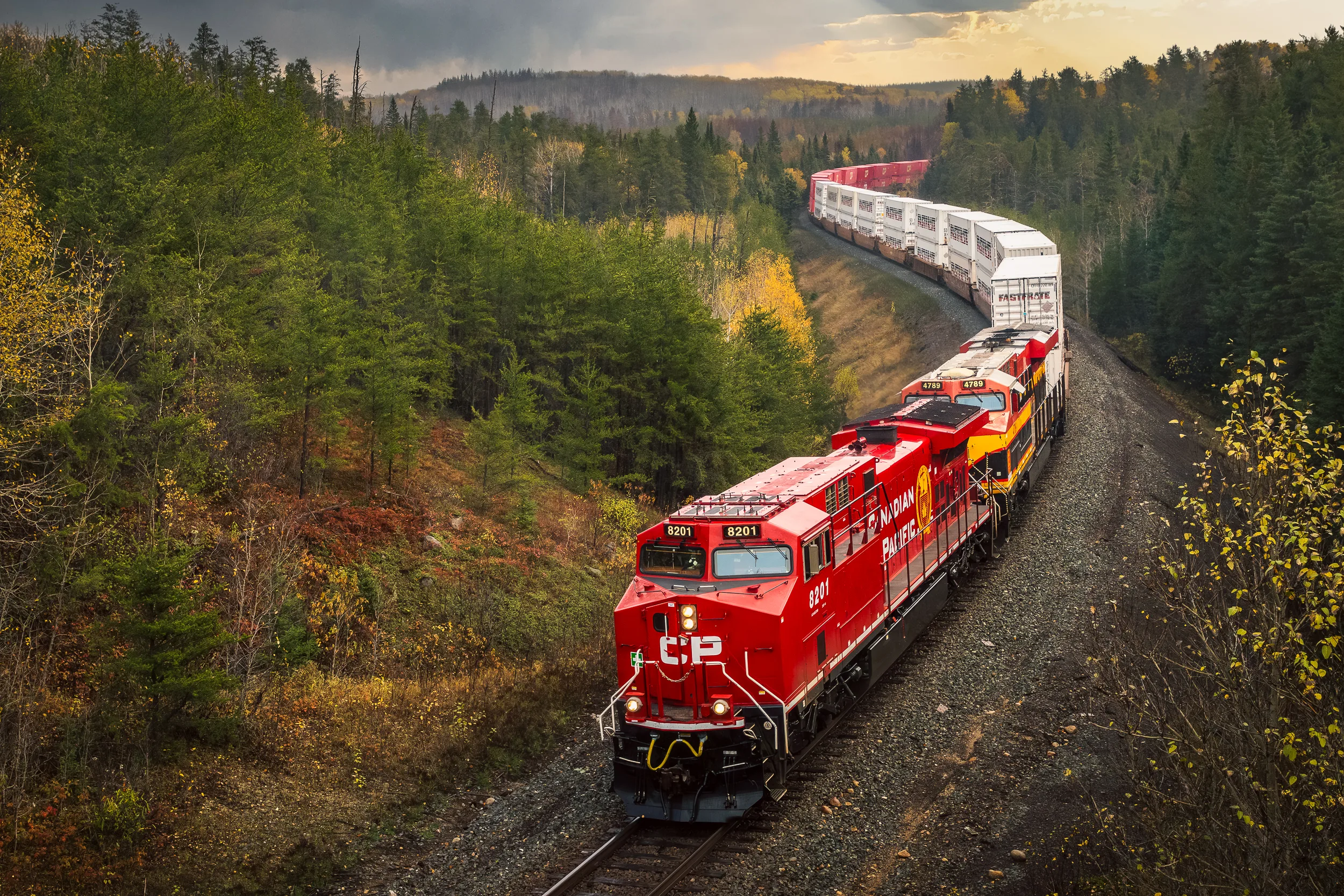 Red freight train navigating a curved track through a forested landscape